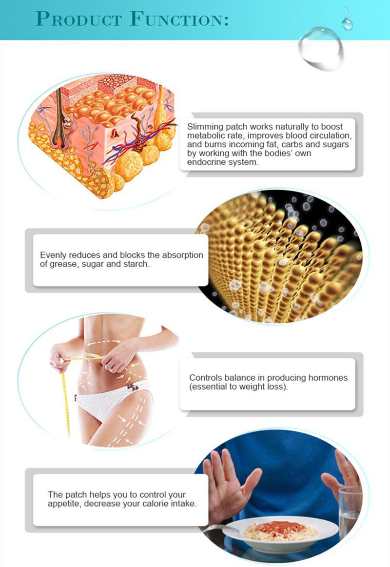 Product Description-4